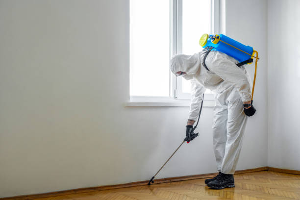 Best Termite Control Services  in Lusk, WY