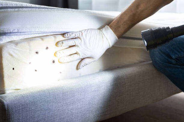 Best Pest Prevention Services  in Lusk, WY