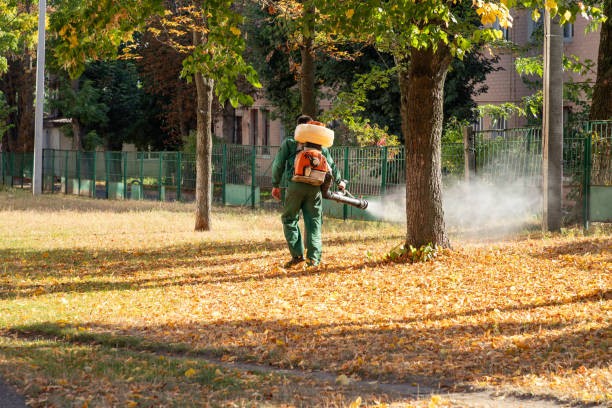 Best Local Pest Control Services  in Lusk, WY