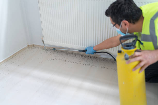Best Cockroach Control Services  in Lusk, WY