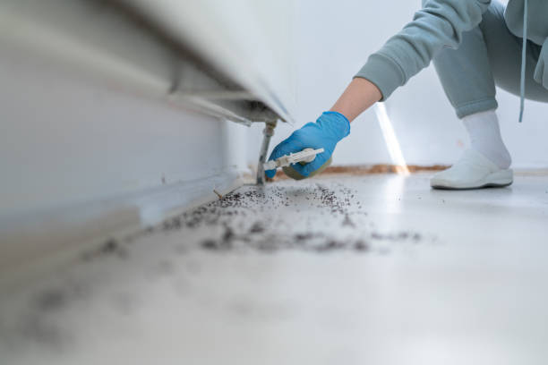 Best Best Pest Control Companies  in Lusk, WY