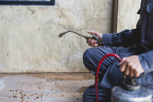 Best Affordable Pest Control Services  in Lusk, WY